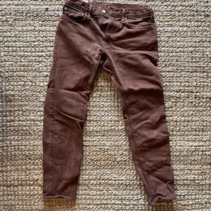 J Crew 484 Brown Chino